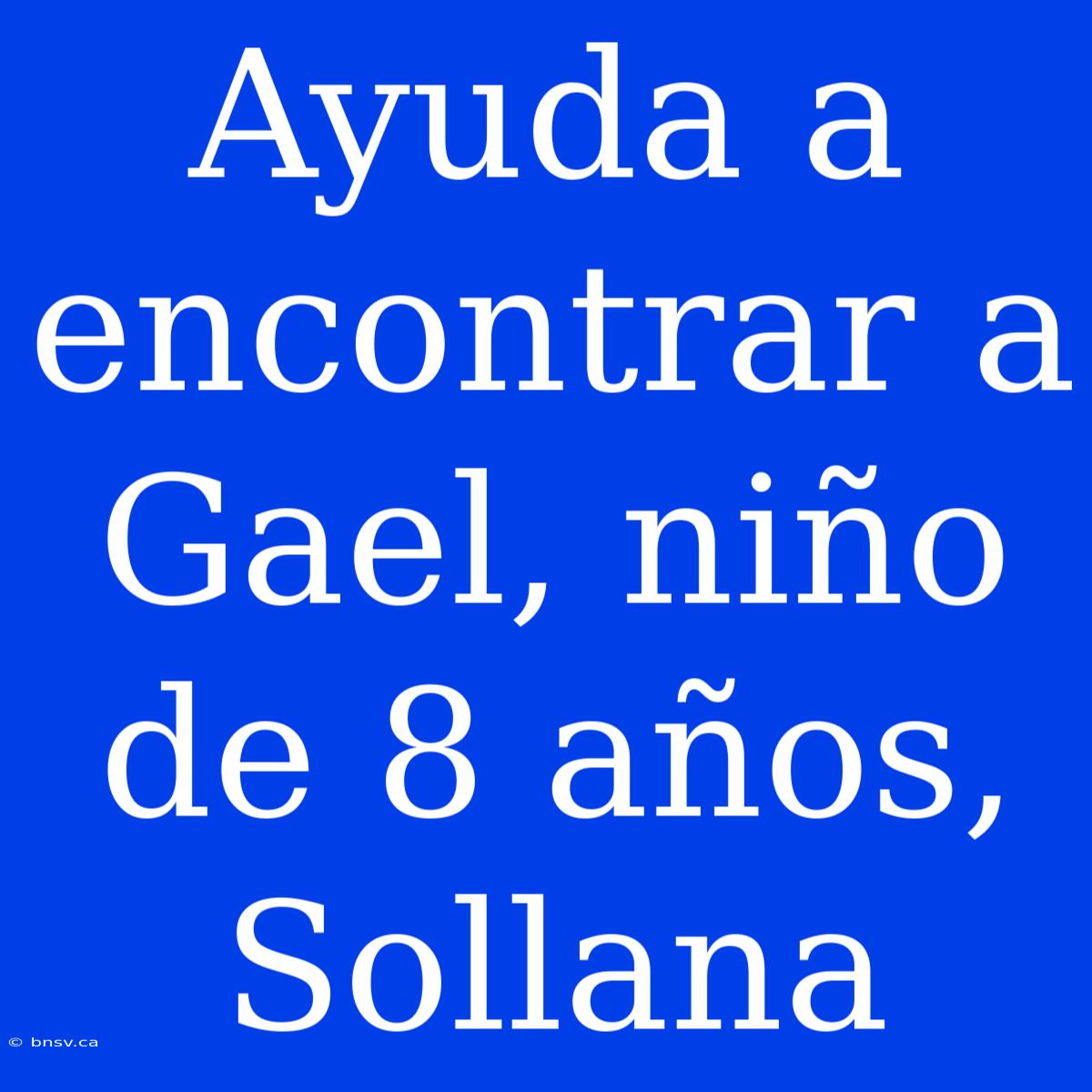 Ayuda A Encontrar A Gael, Niño De 8 Años, Sollana