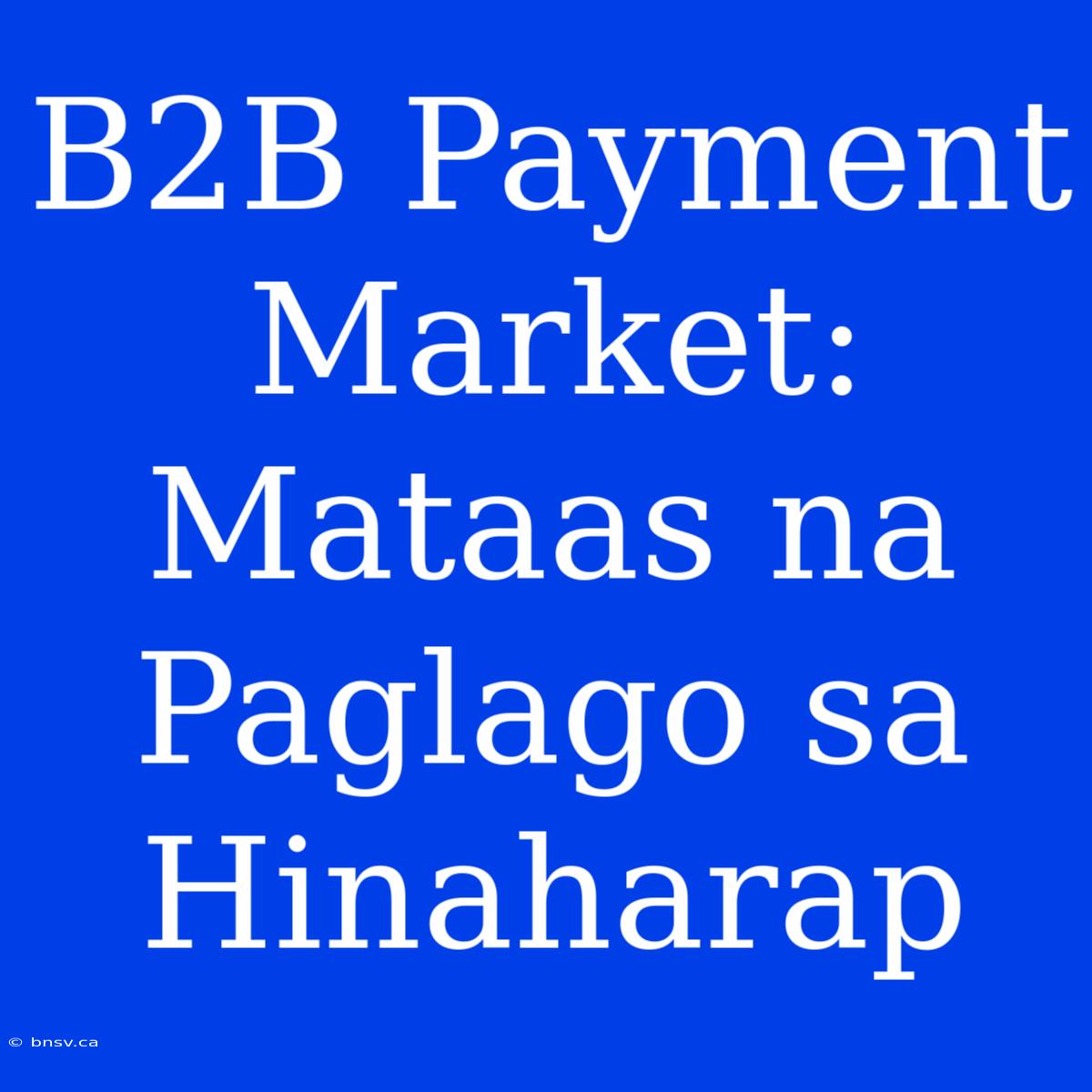 B2B Payment Market: Mataas Na Paglago Sa Hinaharap