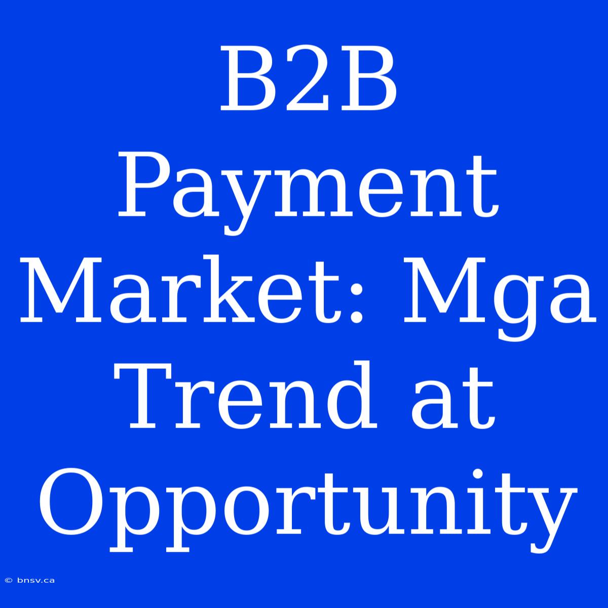 B2B Payment Market: Mga Trend At Opportunity