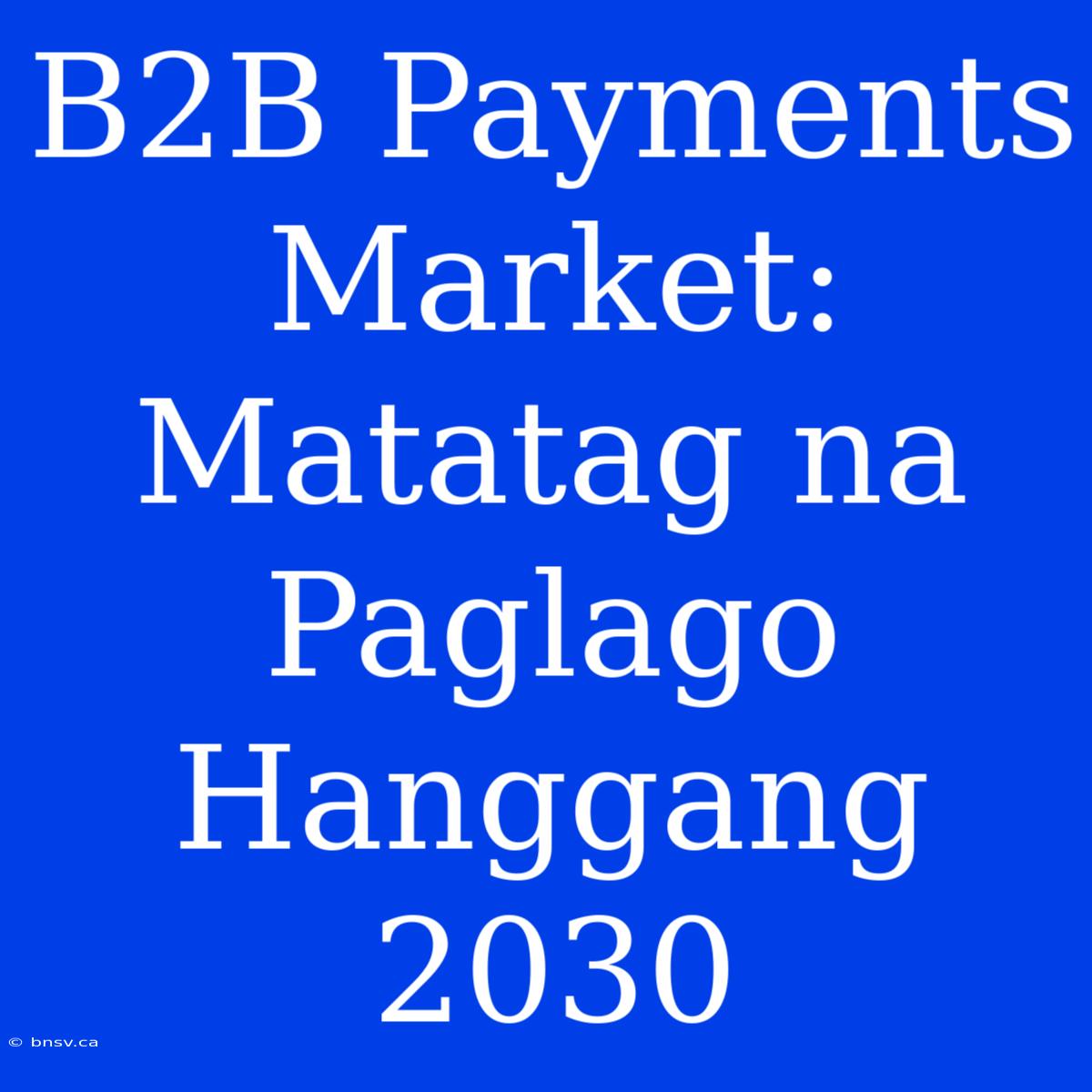 B2B Payments Market: Matatag Na Paglago Hanggang 2030