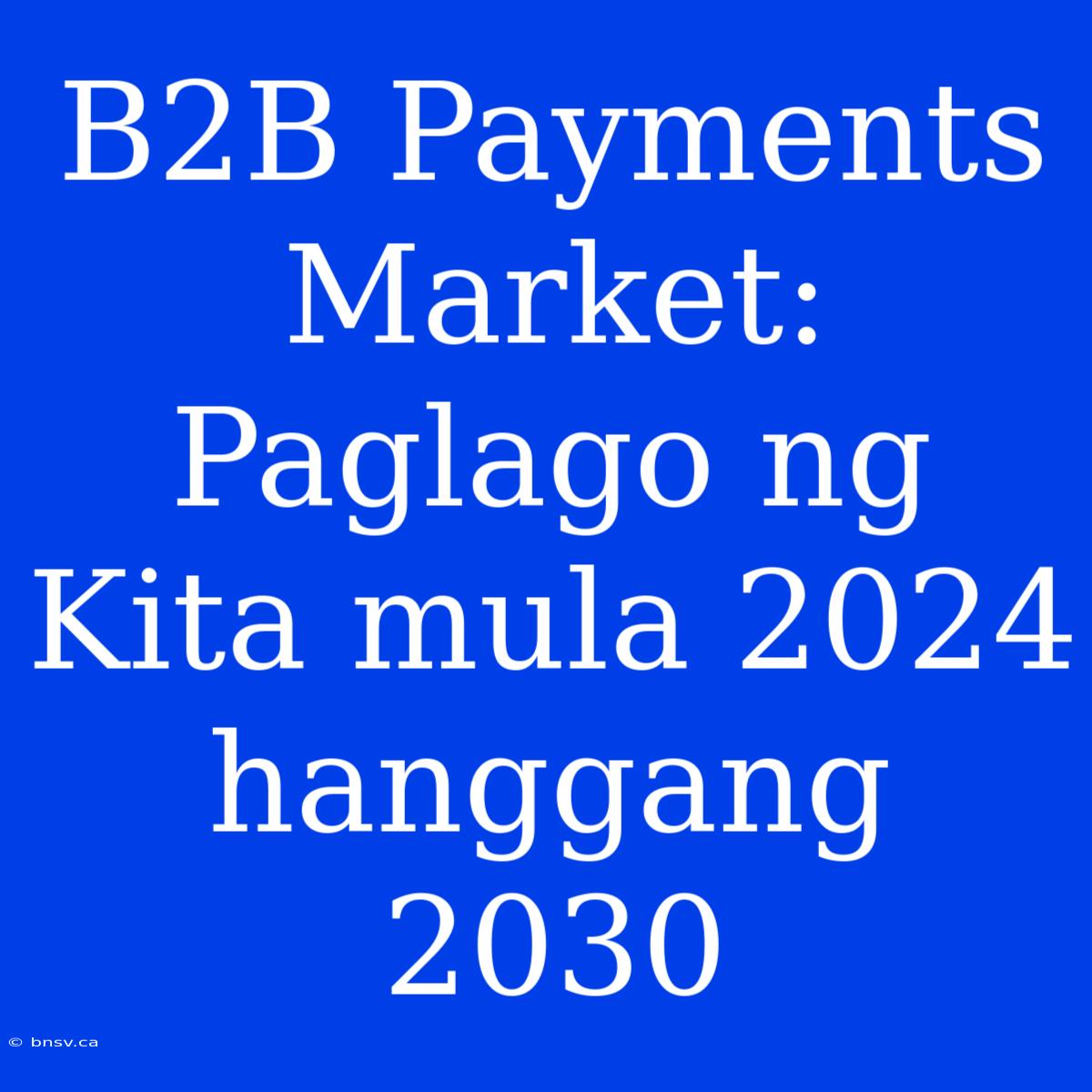 B2B Payments Market: Paglago Ng Kita Mula 2024 Hanggang 2030