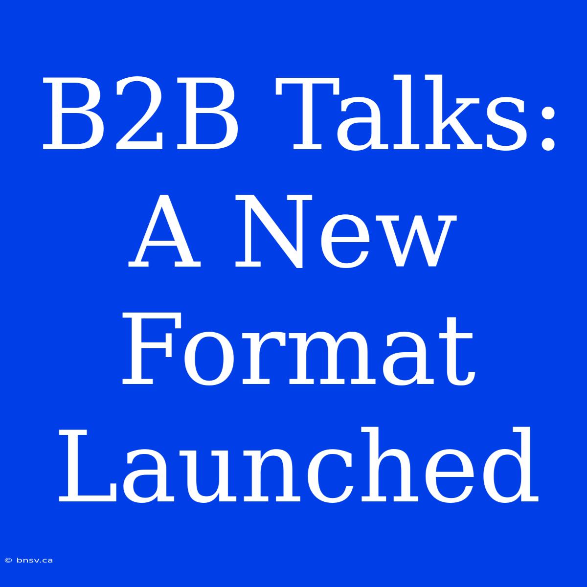 B2B Talks: A New Format Launched