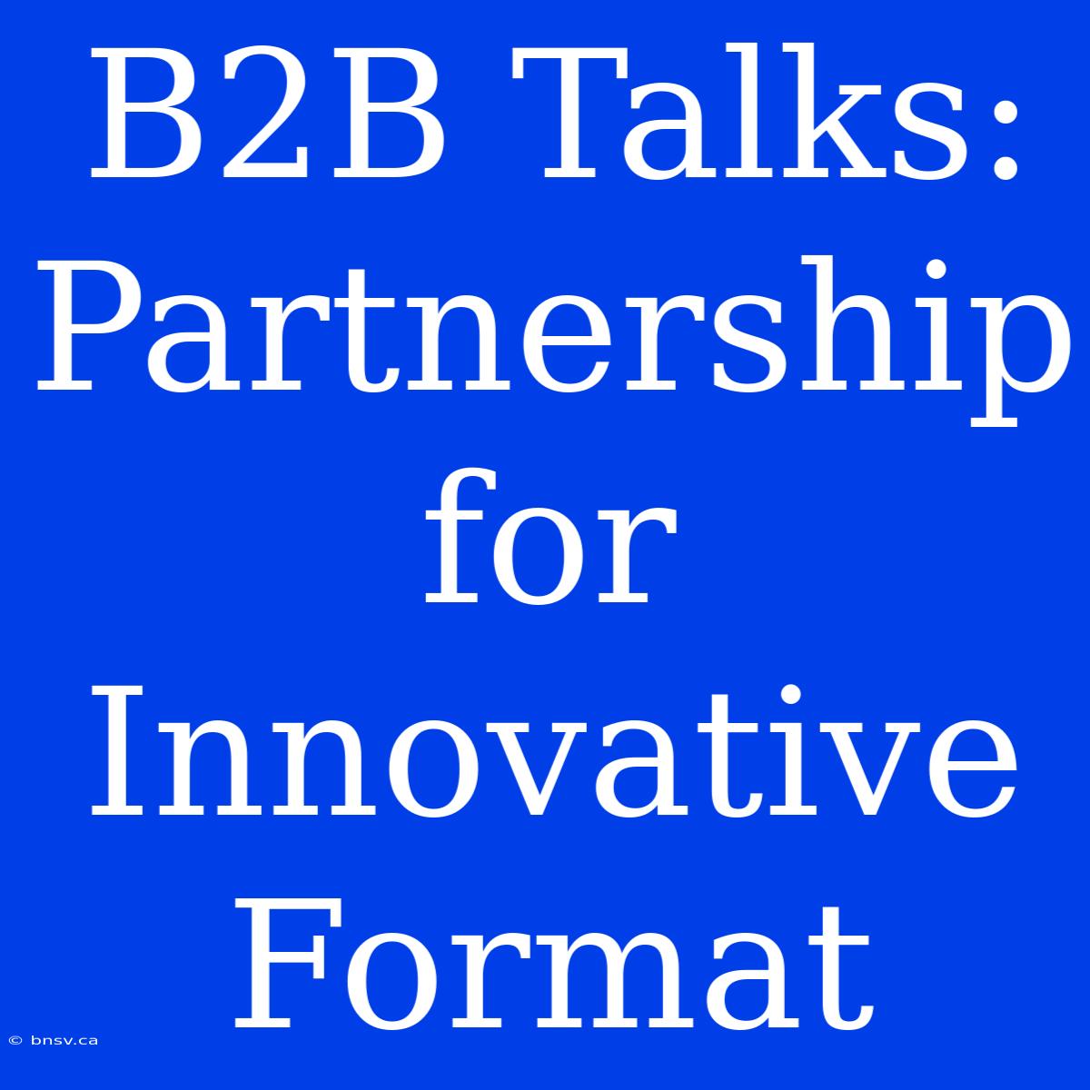 B2B Talks: Partnership For Innovative Format