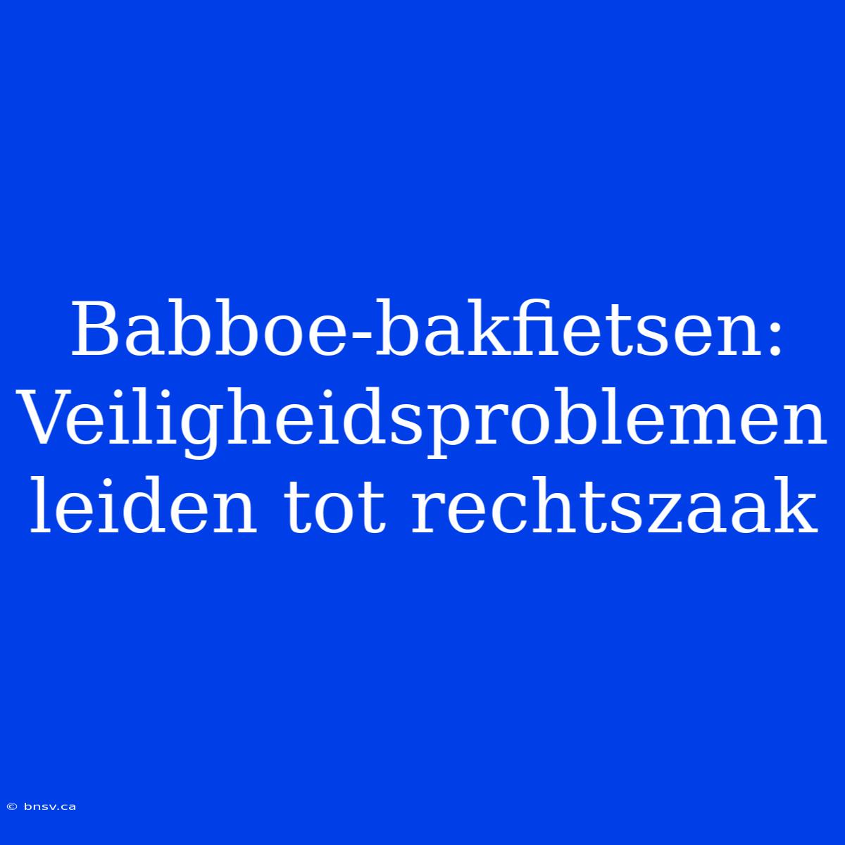 Babboe-bakfietsen: Veiligheidsproblemen Leiden Tot Rechtszaak