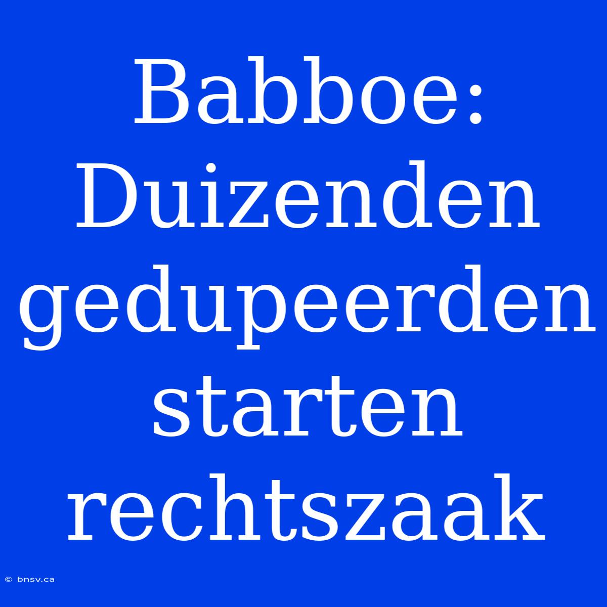 Babboe: Duizenden Gedupeerden Starten Rechtszaak