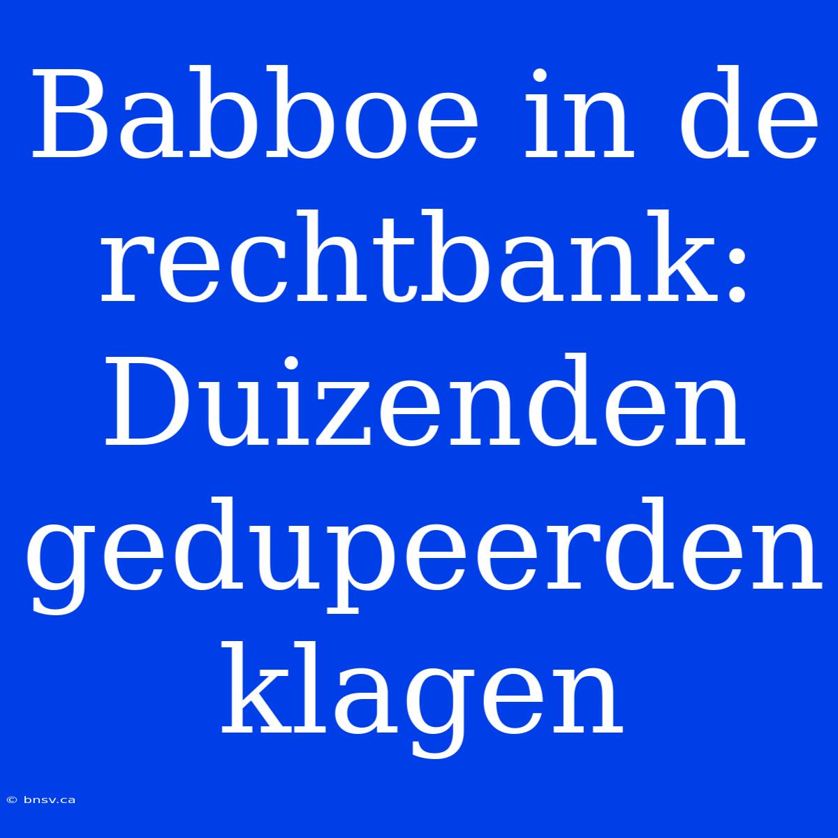 Babboe In De Rechtbank: Duizenden Gedupeerden Klagen