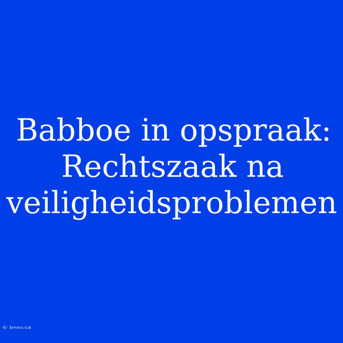 Babboe In Opspraak: Rechtszaak Na Veiligheidsproblemen