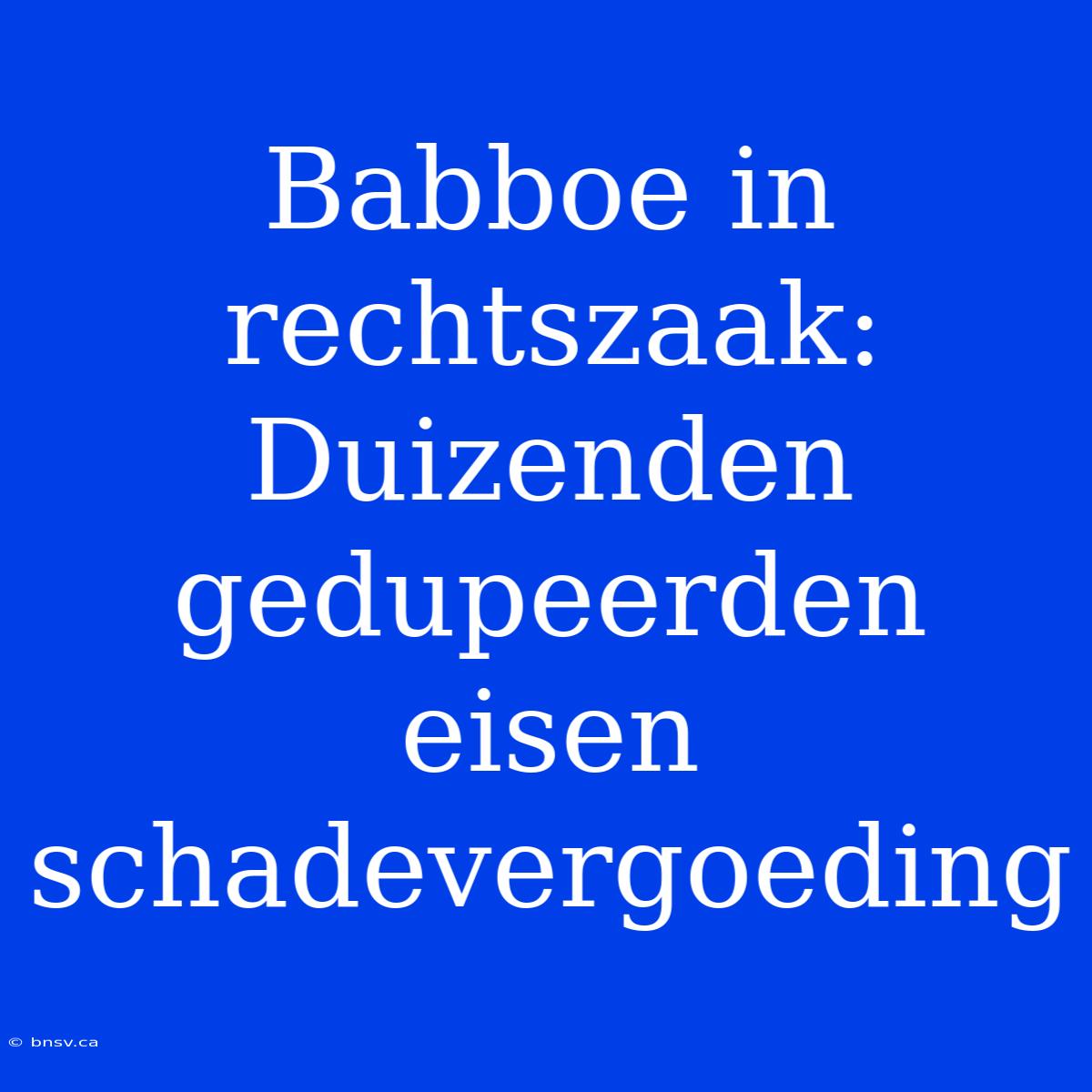 Babboe In Rechtszaak: Duizenden Gedupeerden Eisen Schadevergoeding