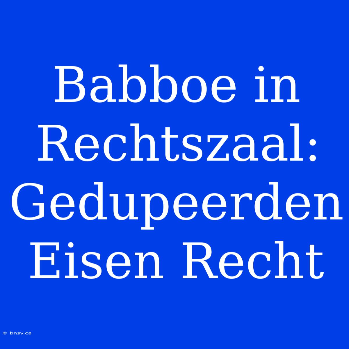 Babboe In Rechtszaal: Gedupeerden Eisen Recht