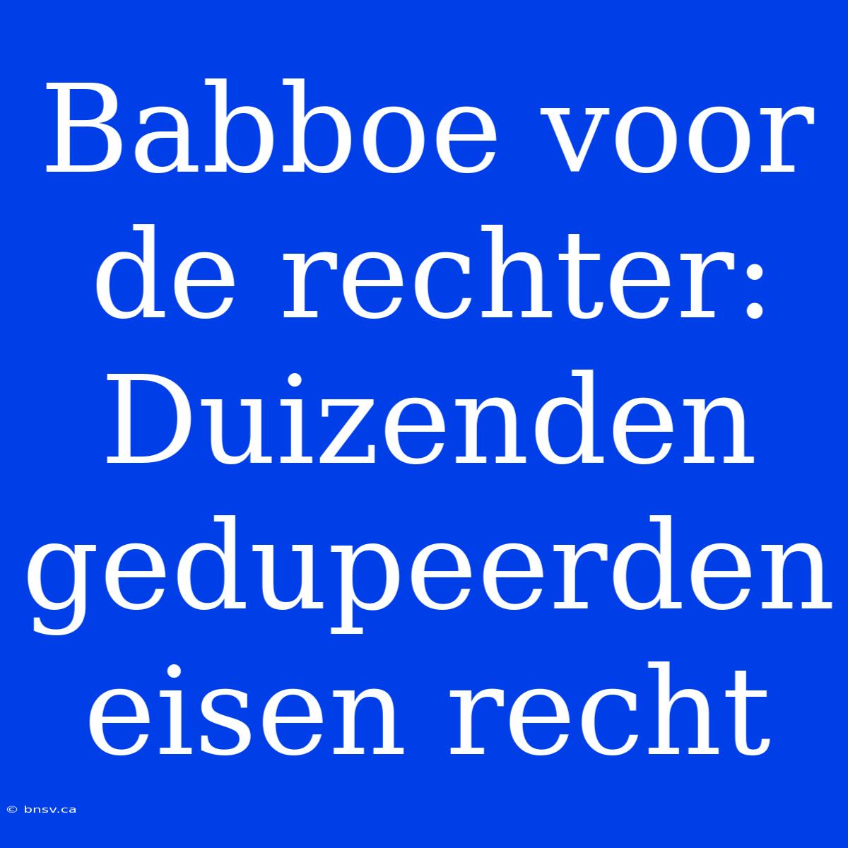 Babboe Voor De Rechter: Duizenden Gedupeerden Eisen Recht