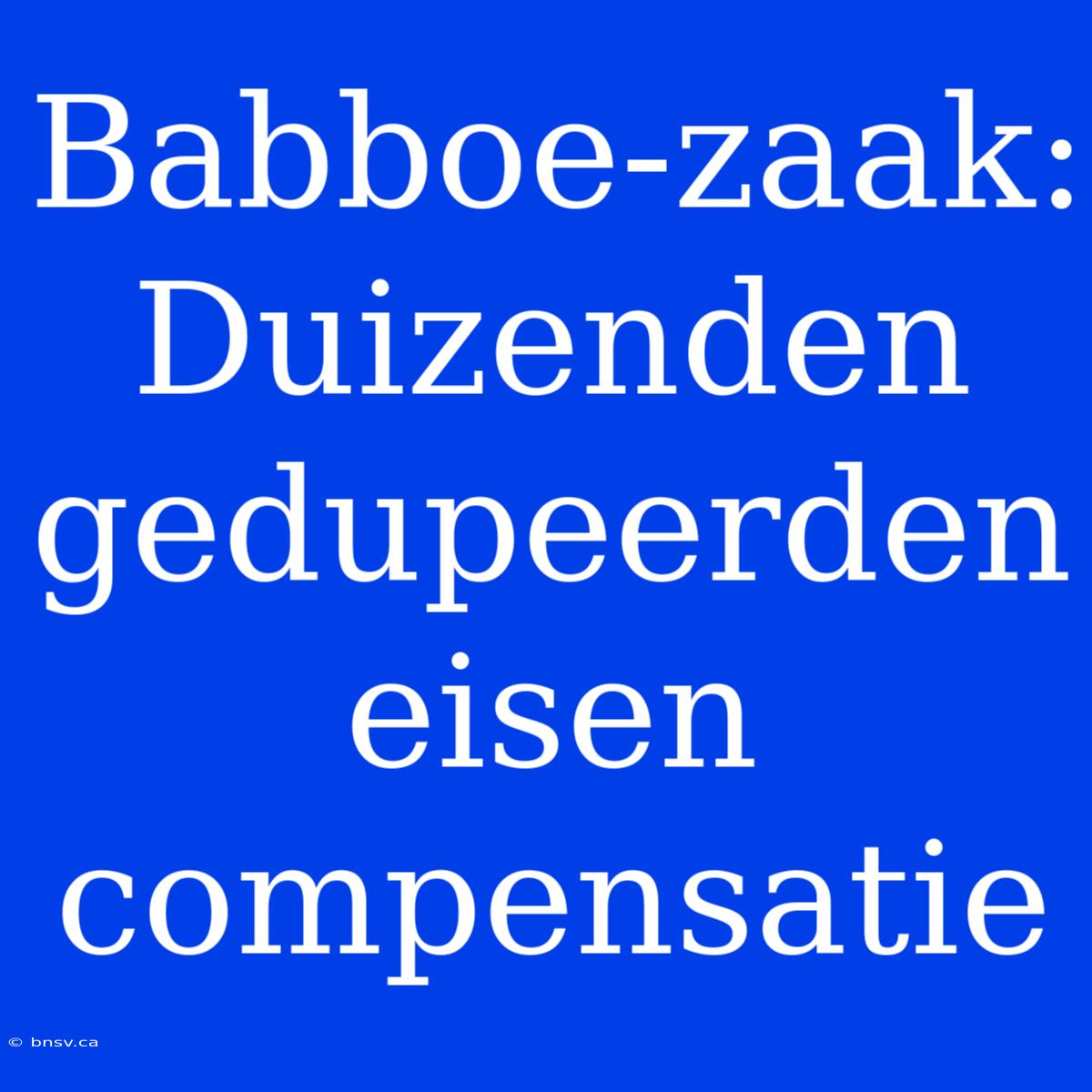 Babboe-zaak: Duizenden Gedupeerden Eisen Compensatie