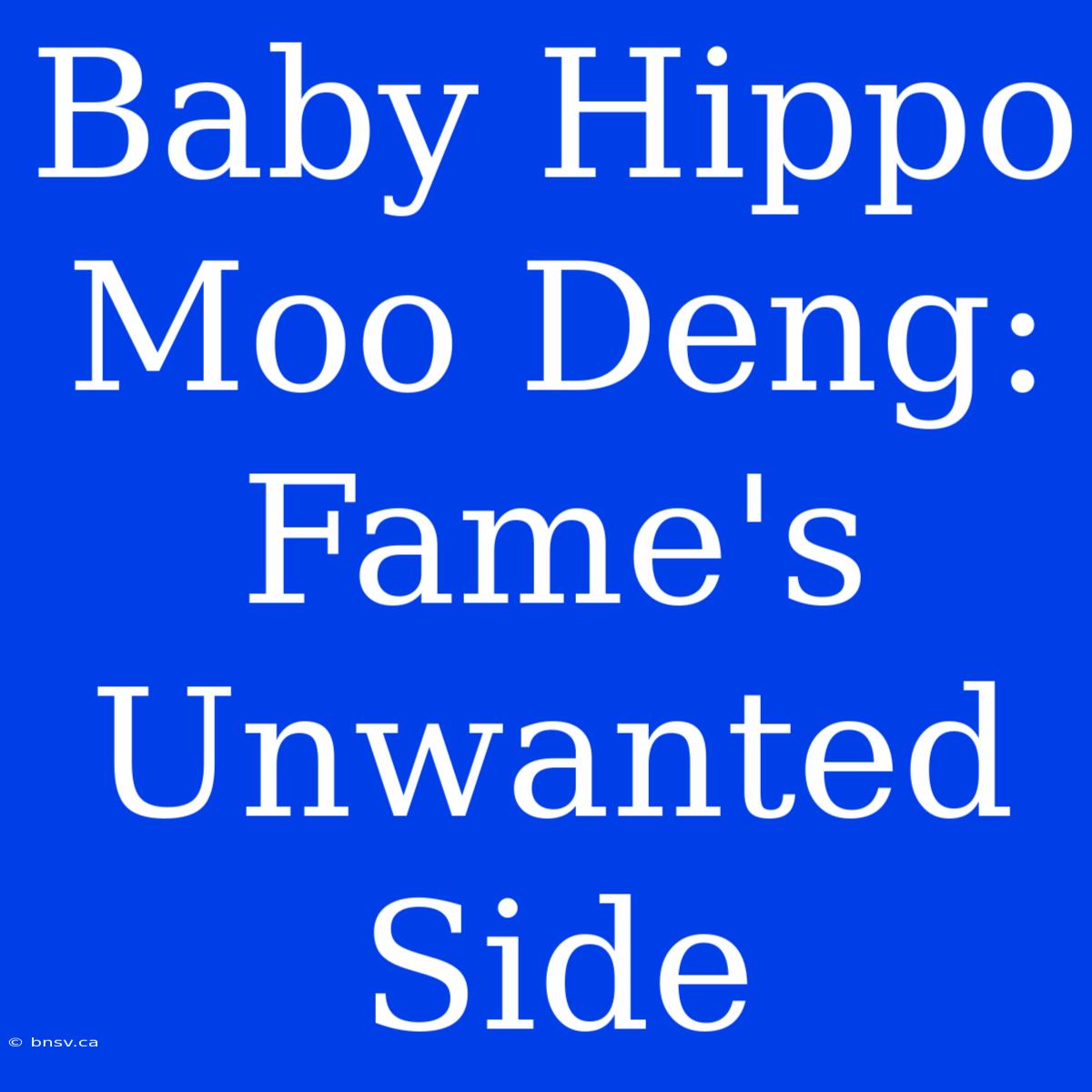 Baby Hippo Moo Deng:  Fame's Unwanted Side