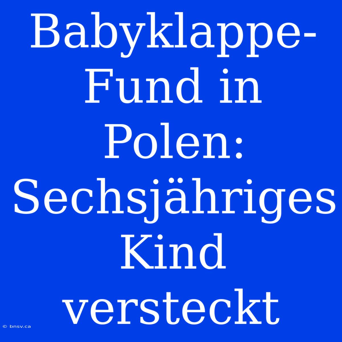 Babyklappe-Fund In Polen: Sechsjähriges Kind Versteckt