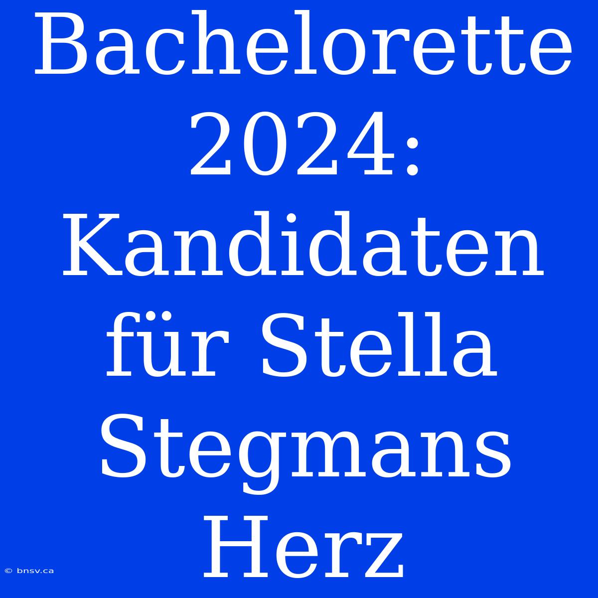 Bachelorette 2024: Kandidaten Für Stella Stegmans Herz