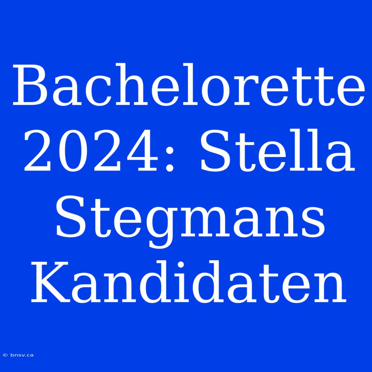 Bachelorette 2024: Stella Stegmans Kandidaten