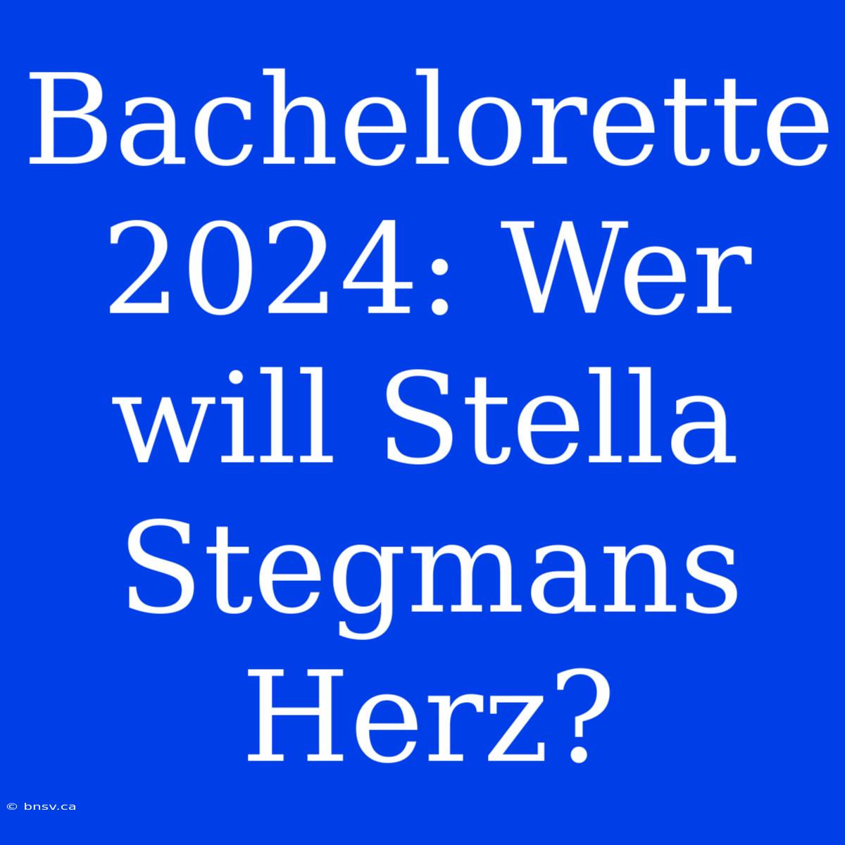 Bachelorette 2024: Wer Will Stella Stegmans Herz?