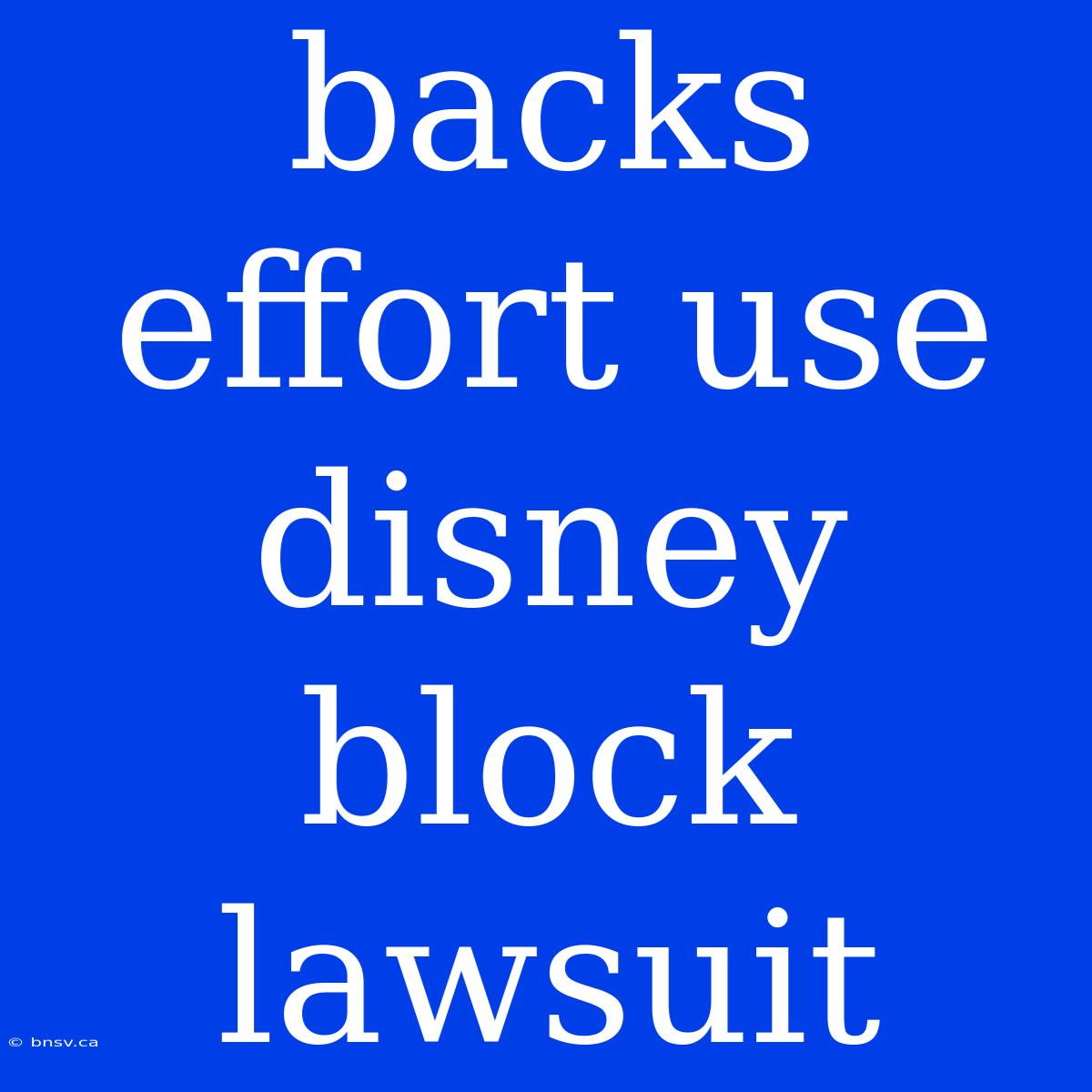 Backs Effort Use Disney Block Lawsuit