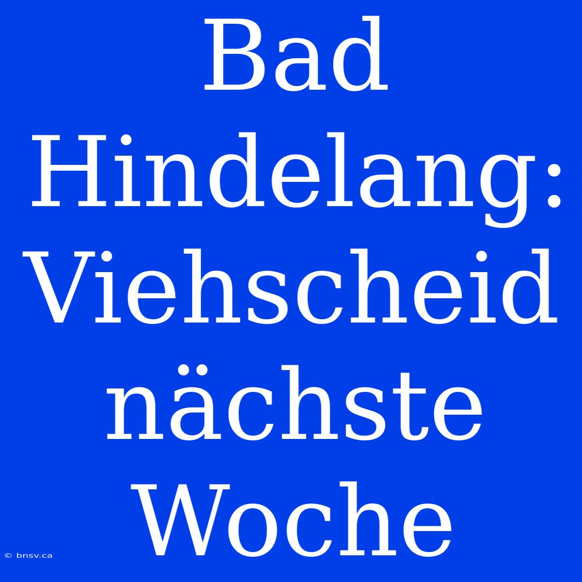 Bad Hindelang: Viehscheid Nächste Woche