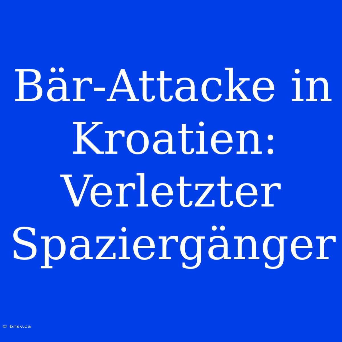 Bär-Attacke In Kroatien: Verletzter Spaziergänger