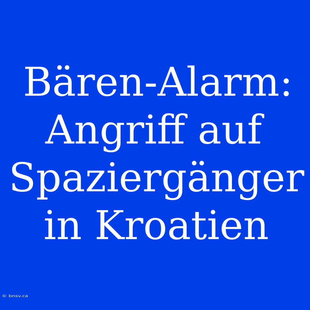 Bären-Alarm: Angriff Auf Spaziergänger In Kroatien