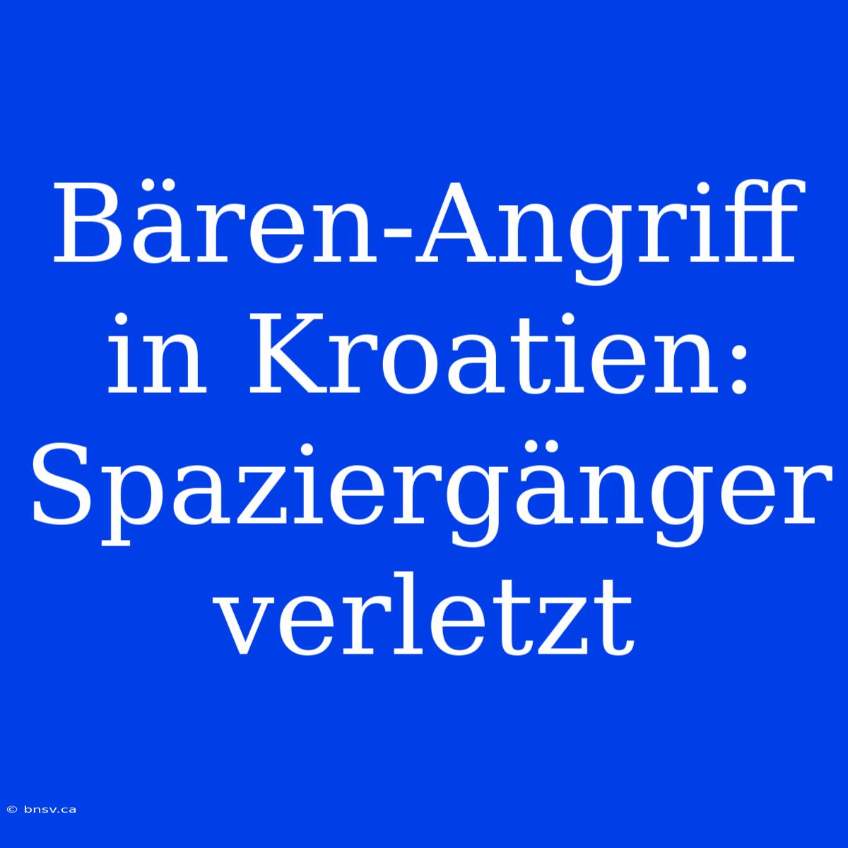 Bären-Angriff In Kroatien: Spaziergänger Verletzt