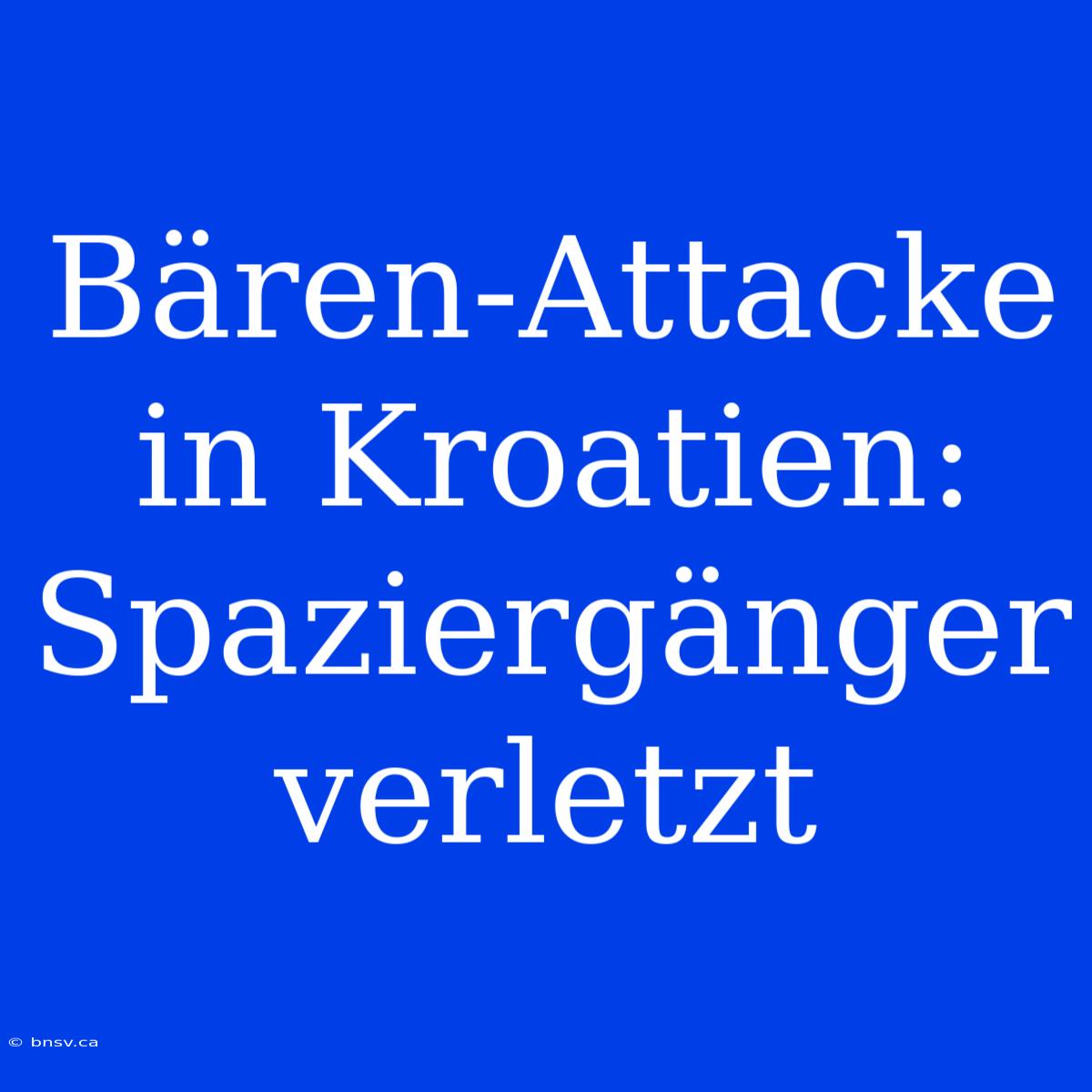 Bären-Attacke In Kroatien: Spaziergänger Verletzt