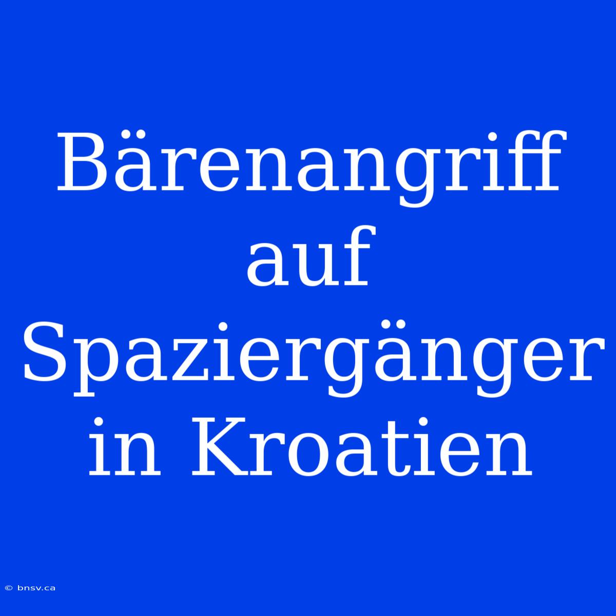 Bärenangriff Auf Spaziergänger In Kroatien