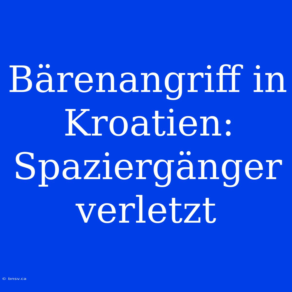 Bärenangriff In Kroatien: Spaziergänger Verletzt