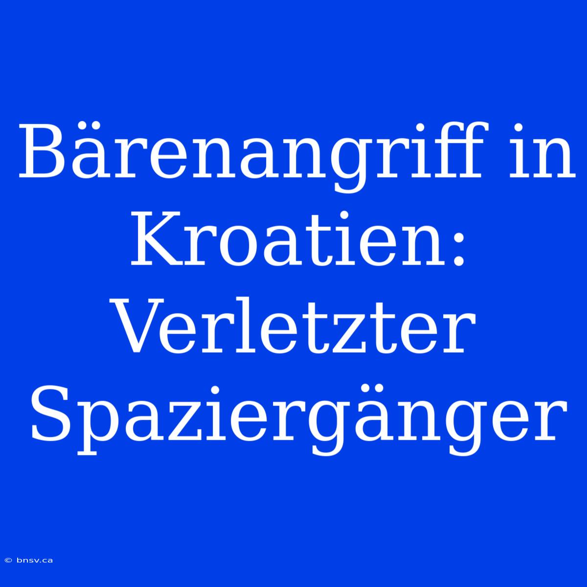 Bärenangriff In Kroatien: Verletzter Spaziergänger