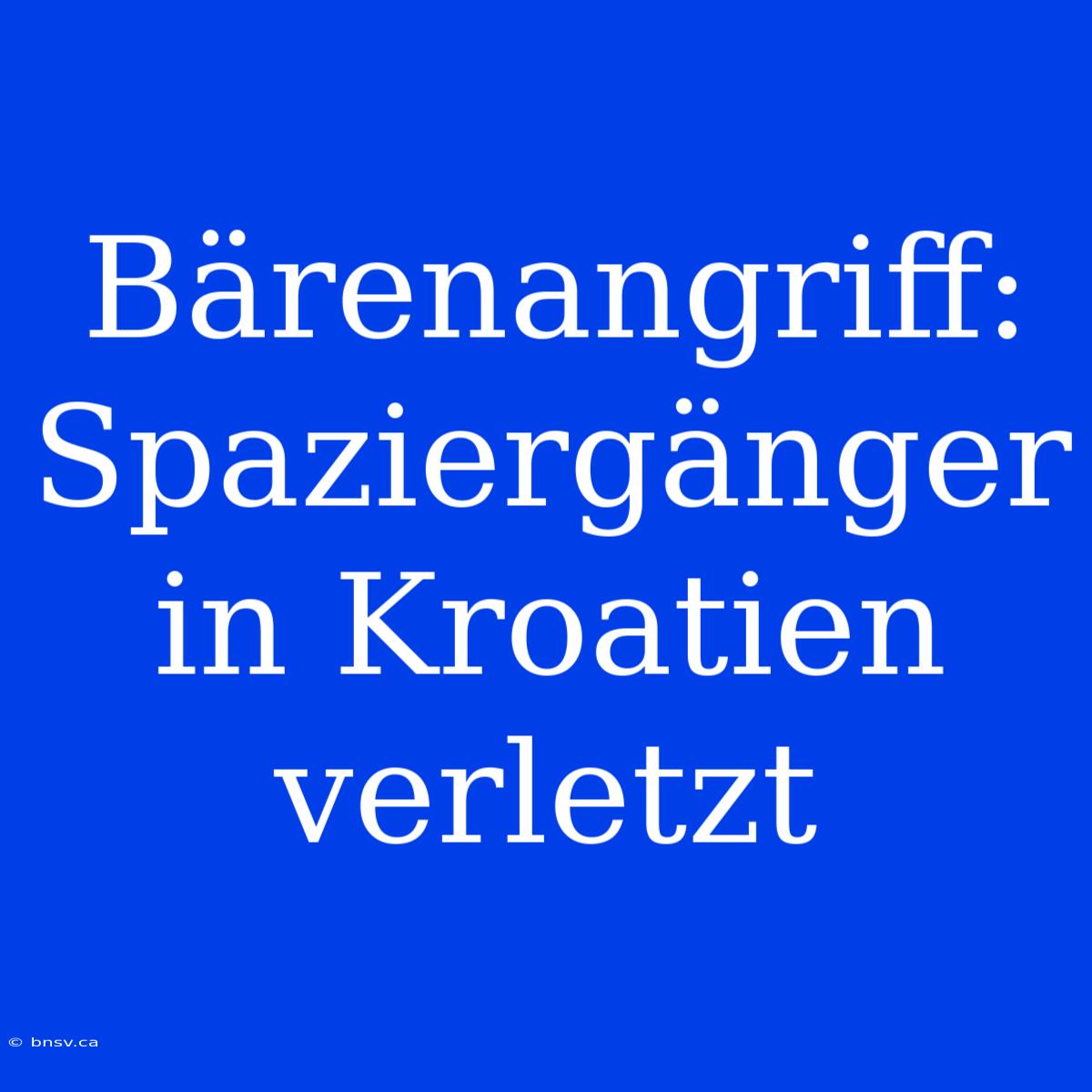 Bärenangriff: Spaziergänger In Kroatien Verletzt