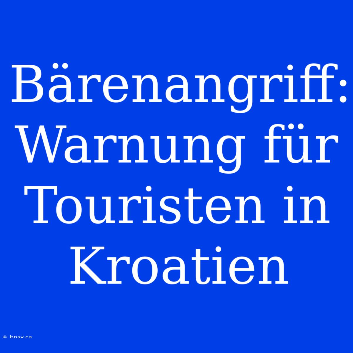 Bärenangriff: Warnung Für Touristen In Kroatien