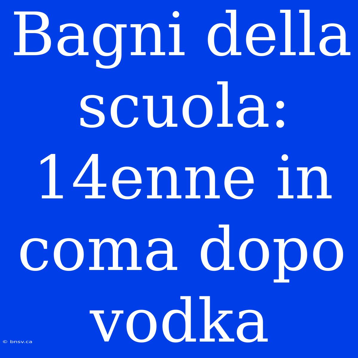 Bagni Della Scuola: 14enne In Coma Dopo Vodka