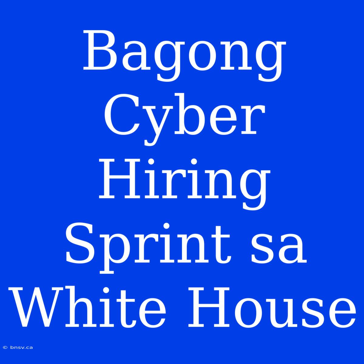 Bagong Cyber Hiring Sprint Sa White House