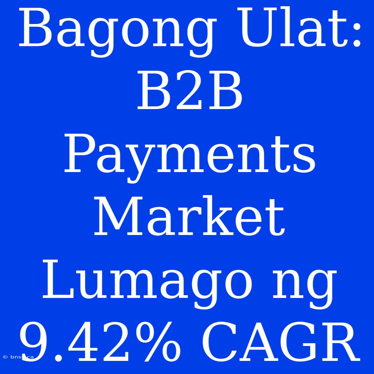 Bagong Ulat: B2B Payments Market Lumago Ng 9.42% CAGR