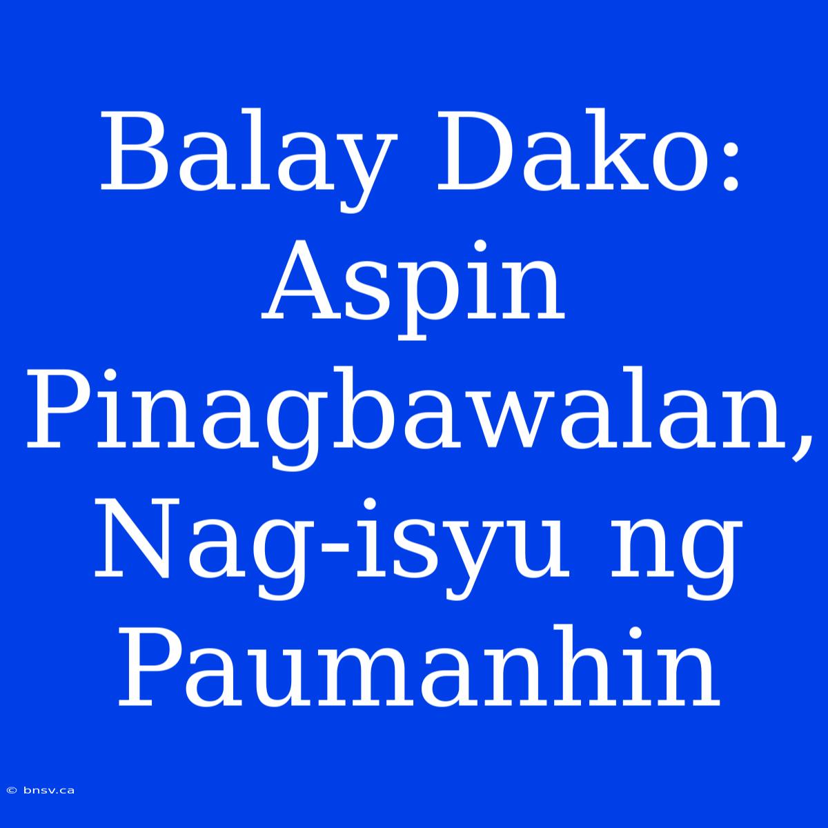 Balay Dako: Aspin Pinagbawalan, Nag-isyu Ng Paumanhin