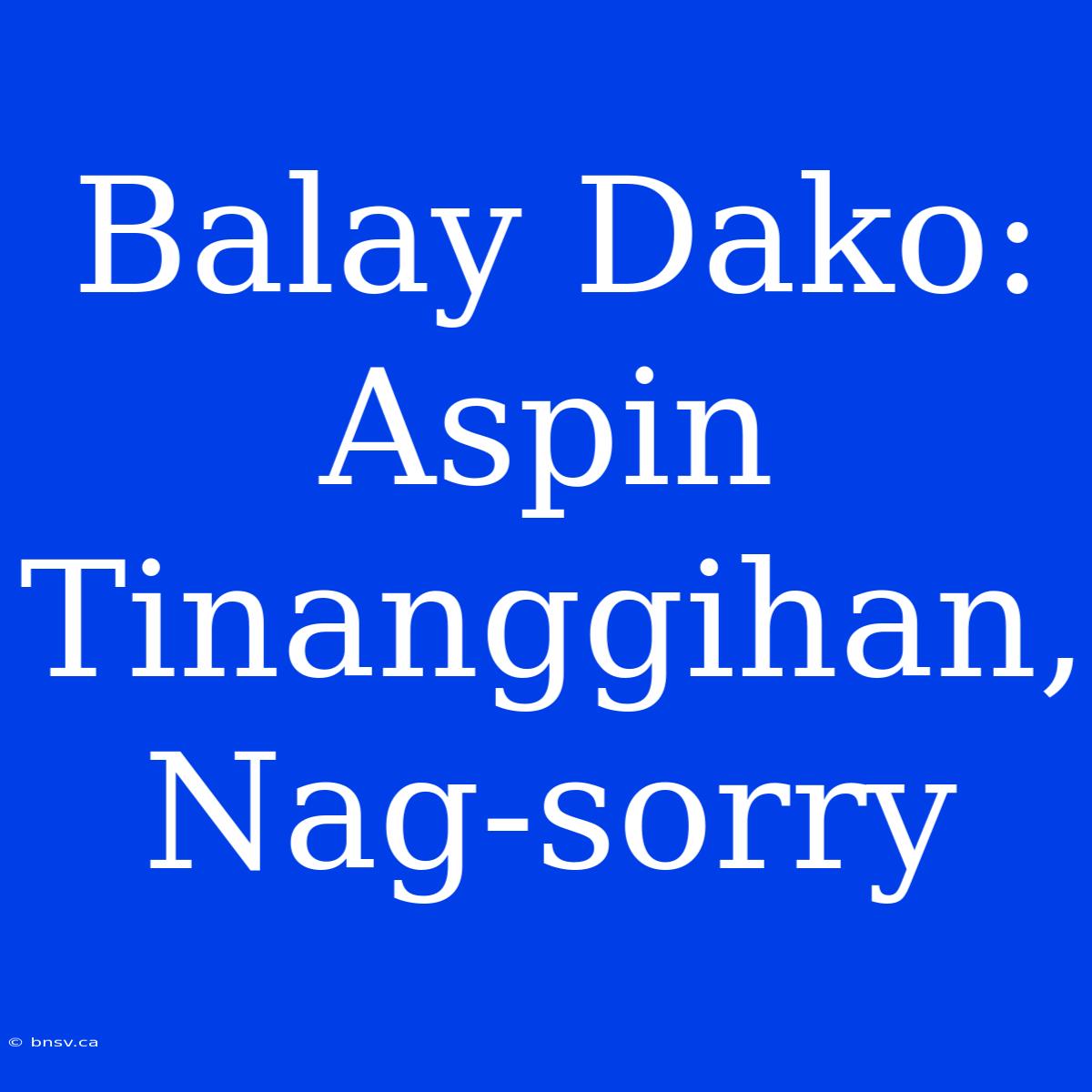 Balay Dako: Aspin Tinanggihan, Nag-sorry