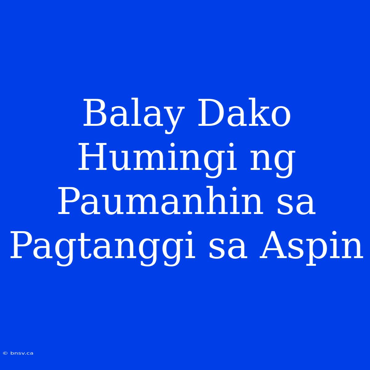 Balay Dako Humingi Ng Paumanhin Sa Pagtanggi Sa Aspin