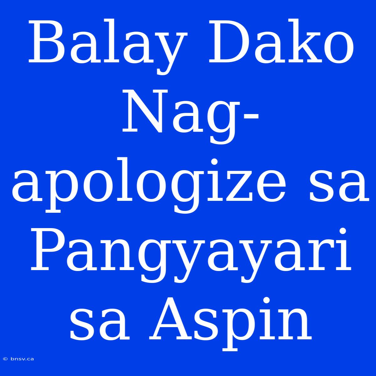 Balay Dako Nag-apologize Sa Pangyayari Sa Aspin