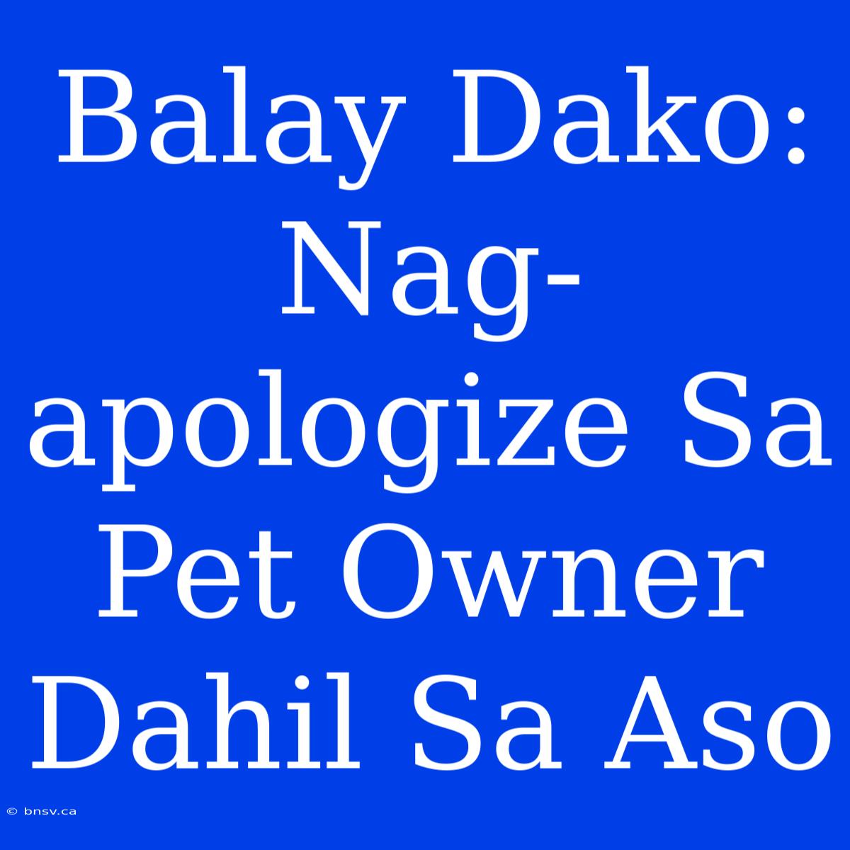 Balay Dako: Nag-apologize Sa Pet Owner Dahil Sa Aso