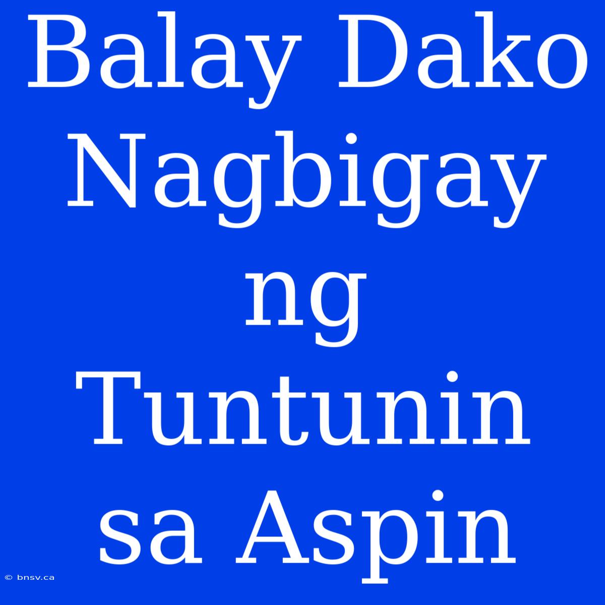 Balay Dako Nagbigay Ng Tuntunin Sa Aspin