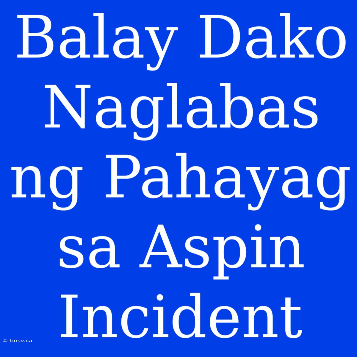 Balay Dako Naglabas Ng Pahayag Sa Aspin Incident