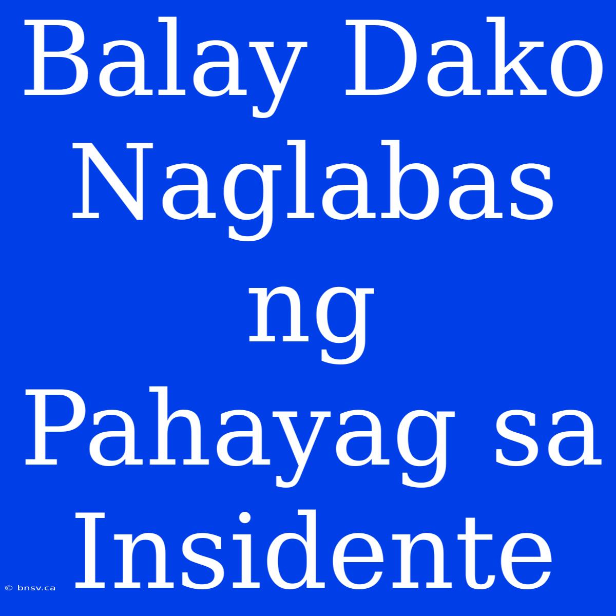 Balay Dako Naglabas Ng Pahayag Sa Insidente