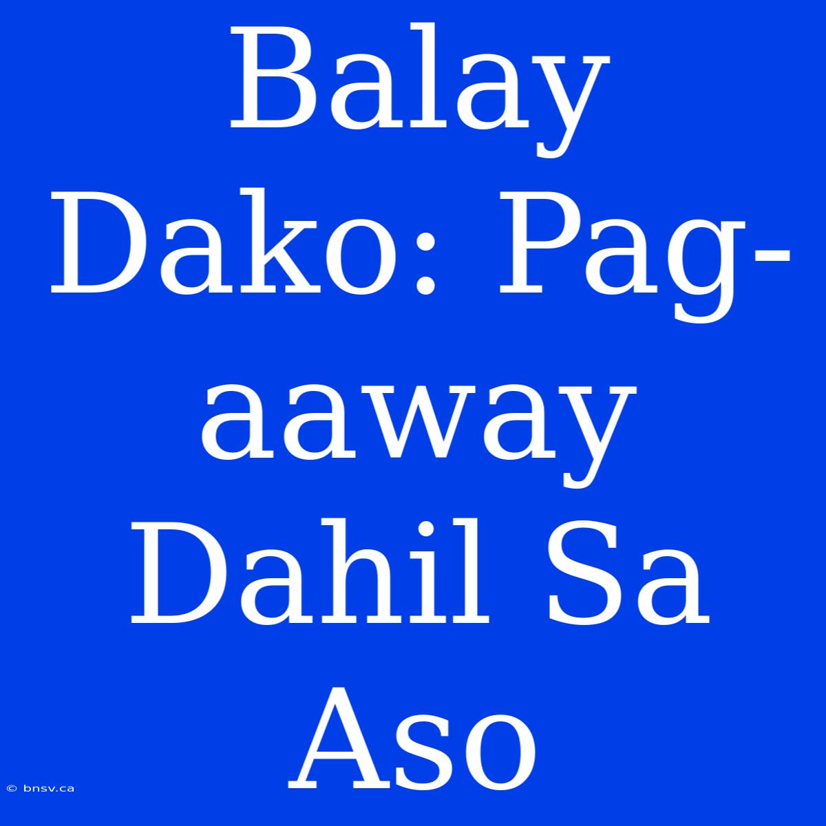 Balay Dako: Pag-aaway Dahil Sa Aso