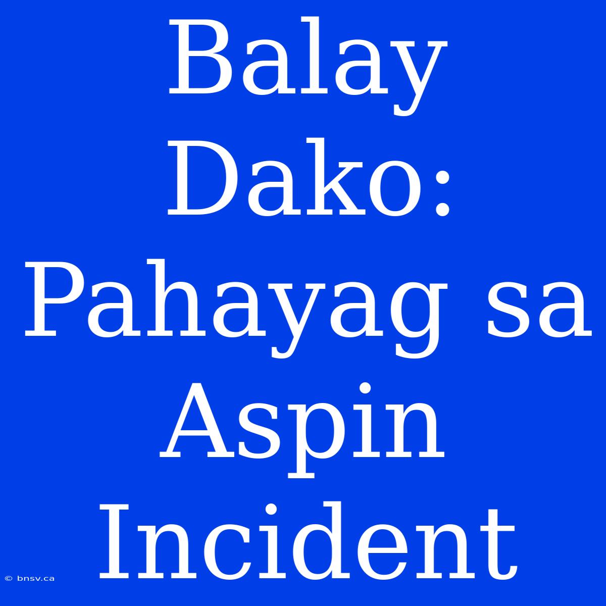 Balay Dako: Pahayag Sa Aspin Incident