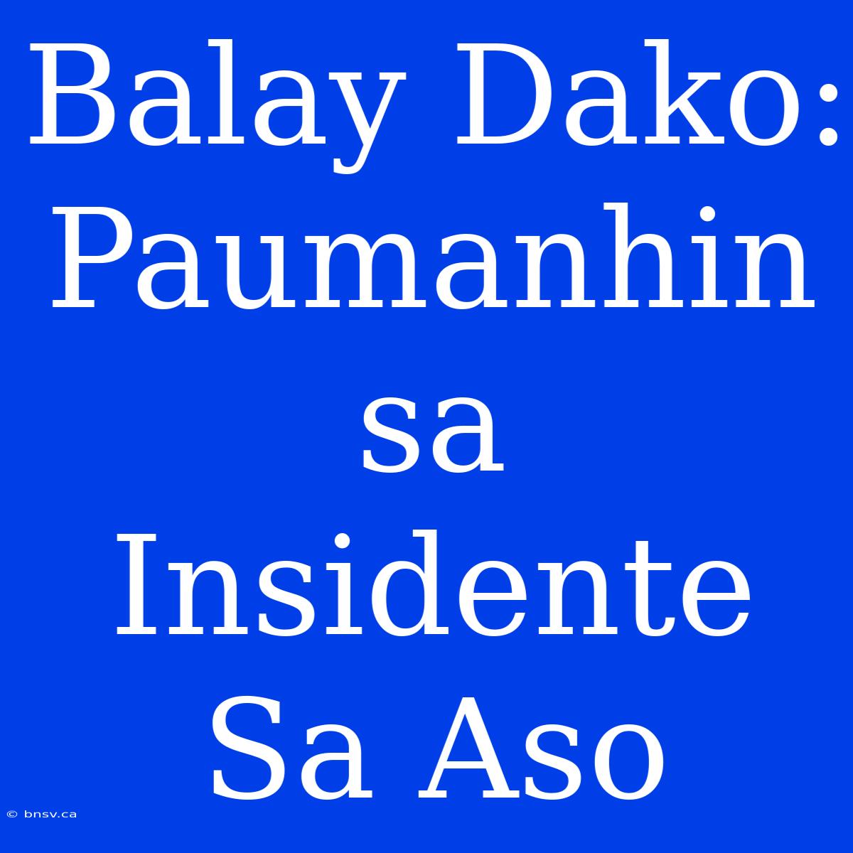 Balay Dako: Paumanhin Sa Insidente Sa Aso