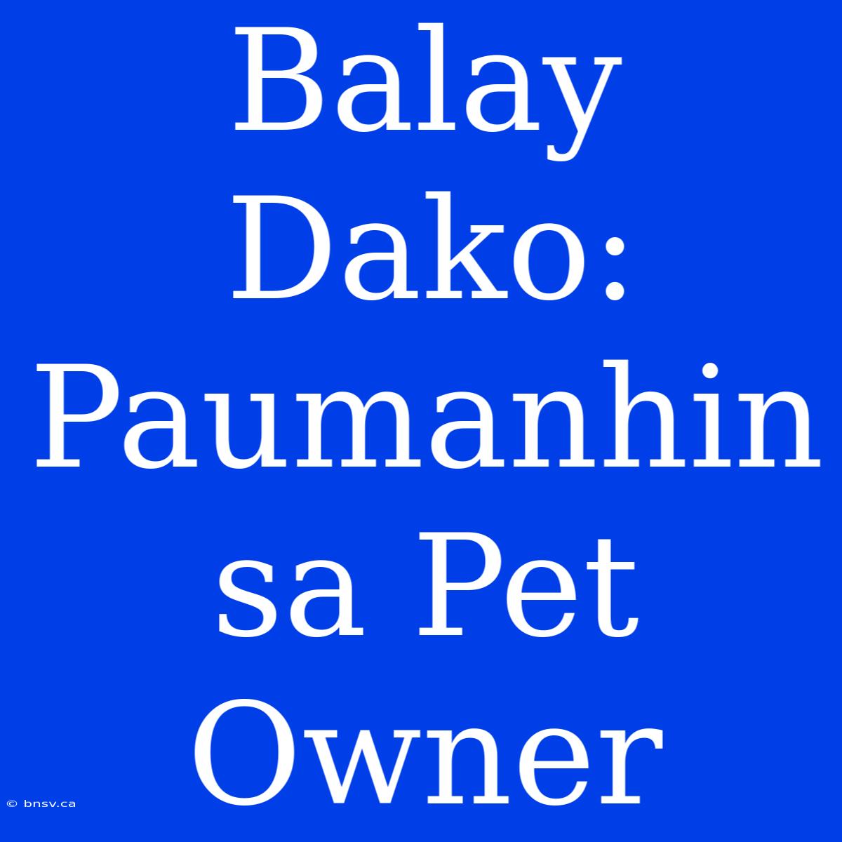 Balay Dako: Paumanhin Sa Pet Owner