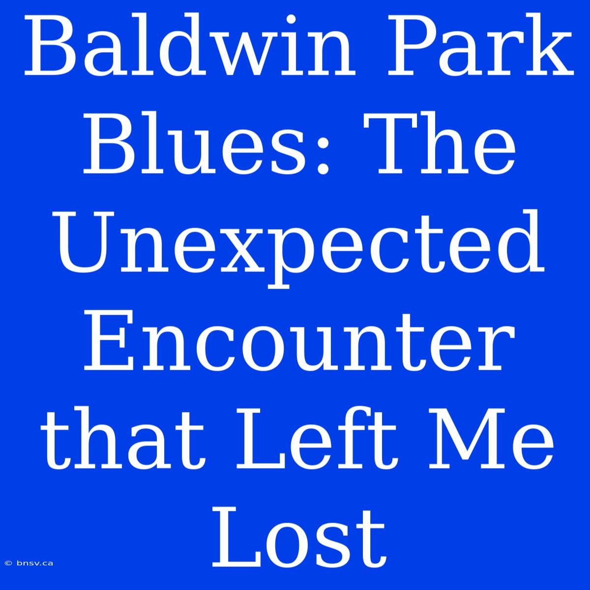 Baldwin Park Blues: The Unexpected Encounter That Left Me Lost