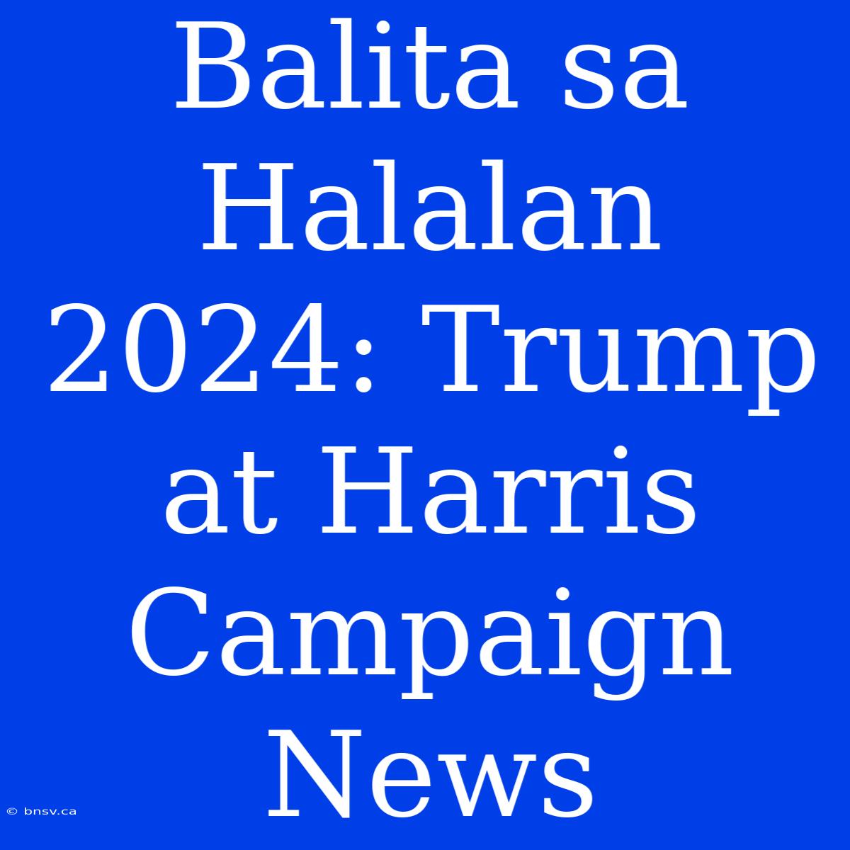 Balita Sa Halalan 2024: Trump At Harris Campaign News