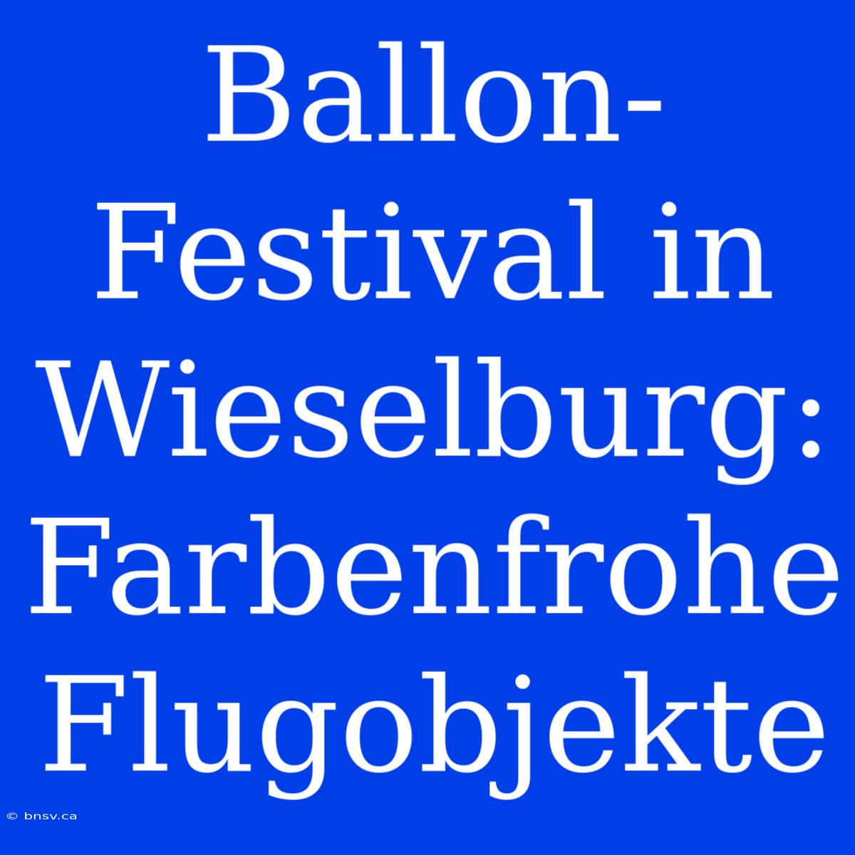 Ballon-Festival In Wieselburg: Farbenfrohe Flugobjekte