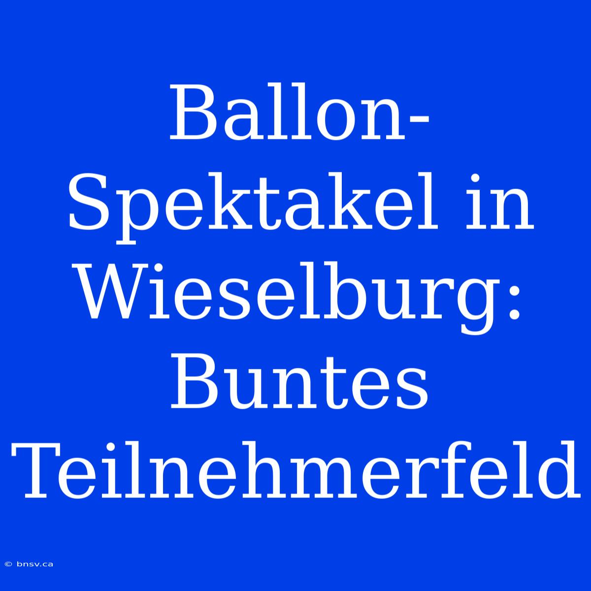 Ballon-Spektakel In Wieselburg: Buntes Teilnehmerfeld